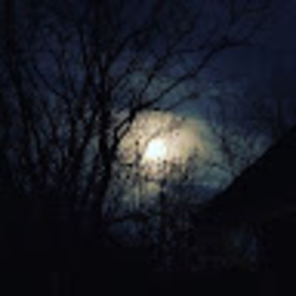 Meet your Posher, John - Picture 1 of 1